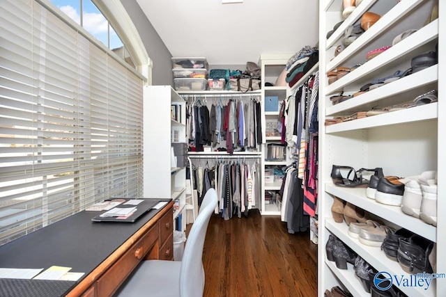 walk in closet with dark wood-style flooring