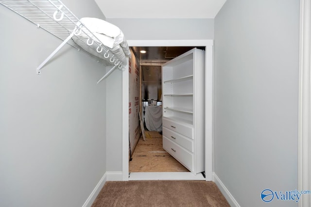 walk in closet featuring carpet floors