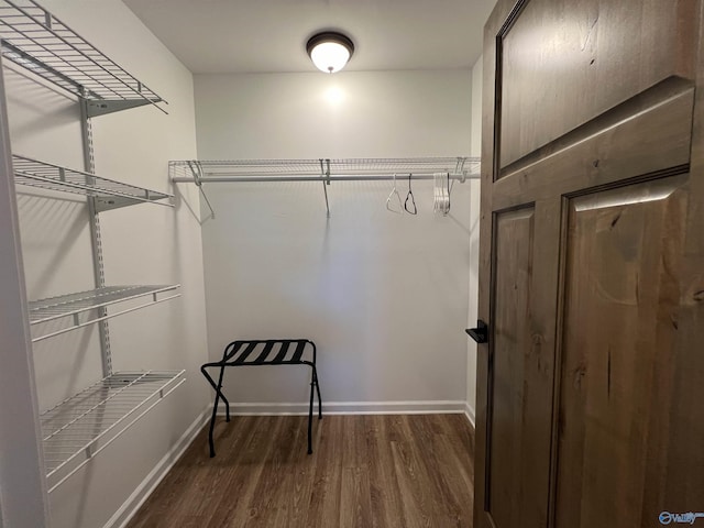 spacious closet with dark wood-type flooring