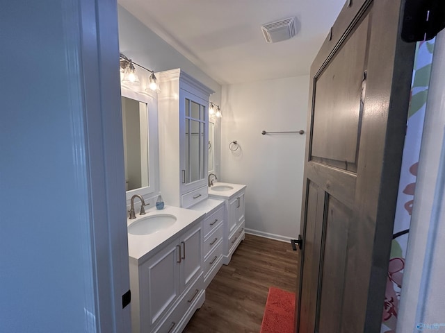 bathroom featuring wood-type flooring and vanity