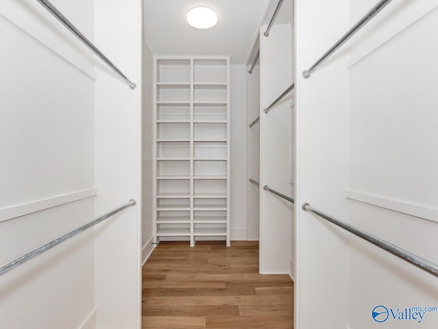 walk in closet featuring light hardwood / wood-style floors