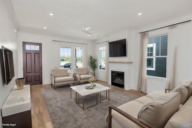 living room featuring ornamental molding, light hardwood / wood-style floors, and ceiling fan