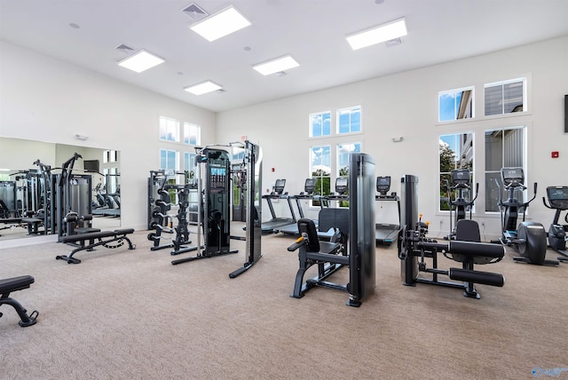 workout area featuring carpet flooring and a high ceiling