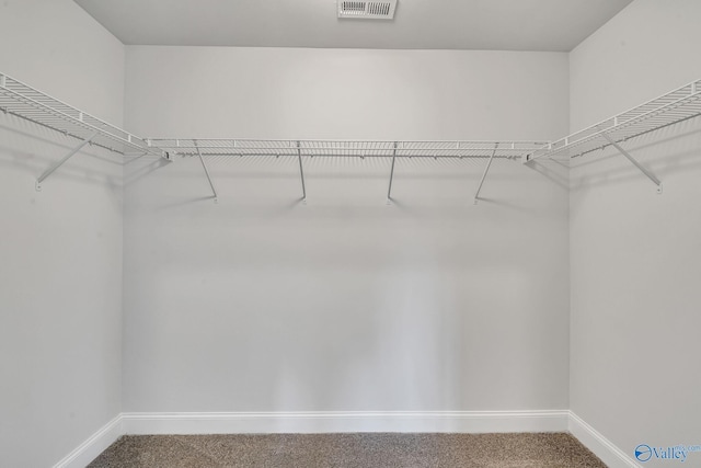 spacious closet with carpet floors and visible vents