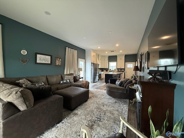 living room with wood-type flooring and sink