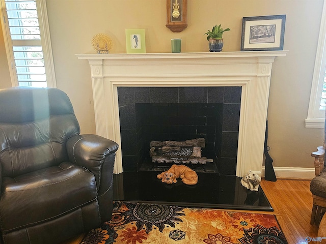 room details with baseboards, wood finished floors, and a fireplace