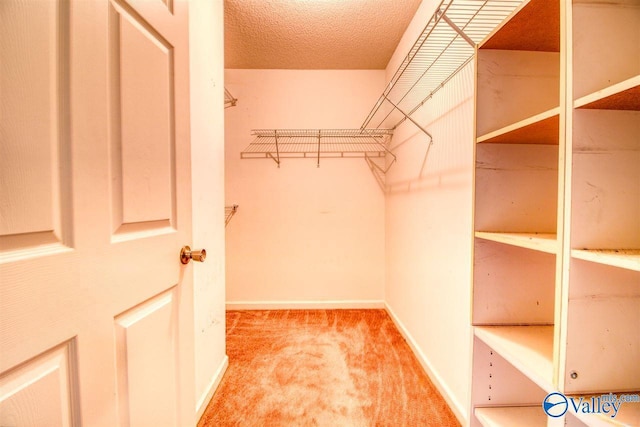 walk in closet with carpet floors