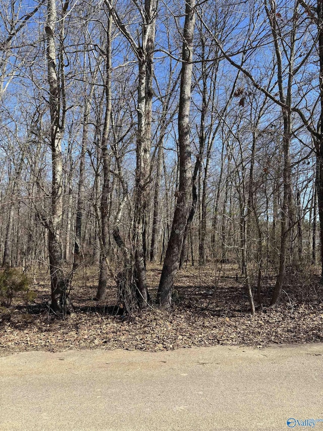 1ACRE Honea Rd, Hazel Green, AL 35750