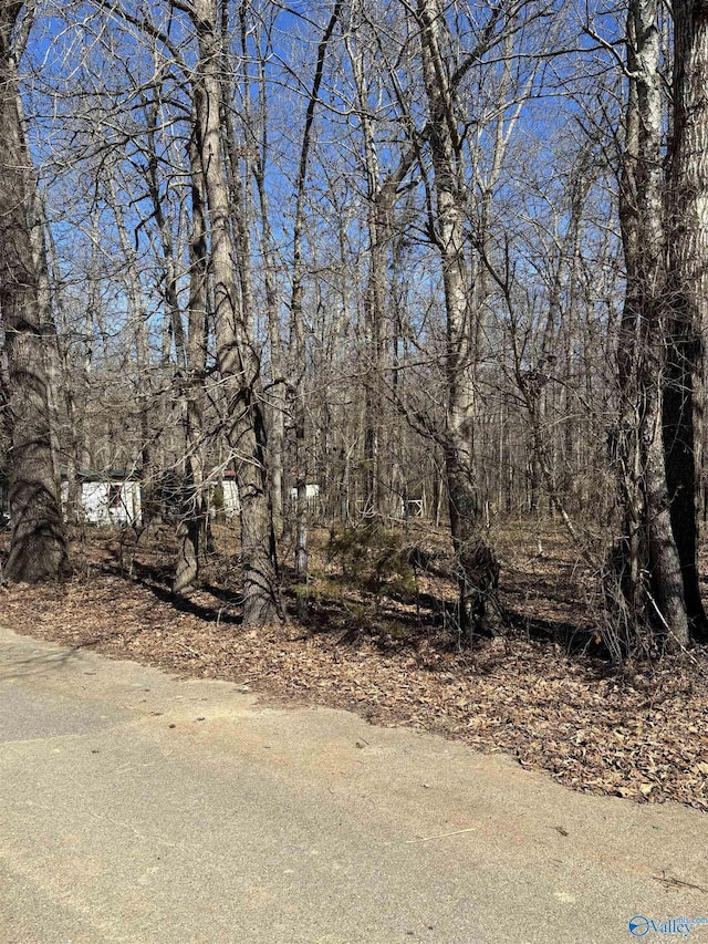 Listing photo 3 for 1ACRE Honea Rd, Hazel Green AL 35750