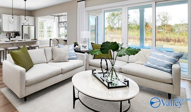 living area with wood finished floors and plenty of natural light