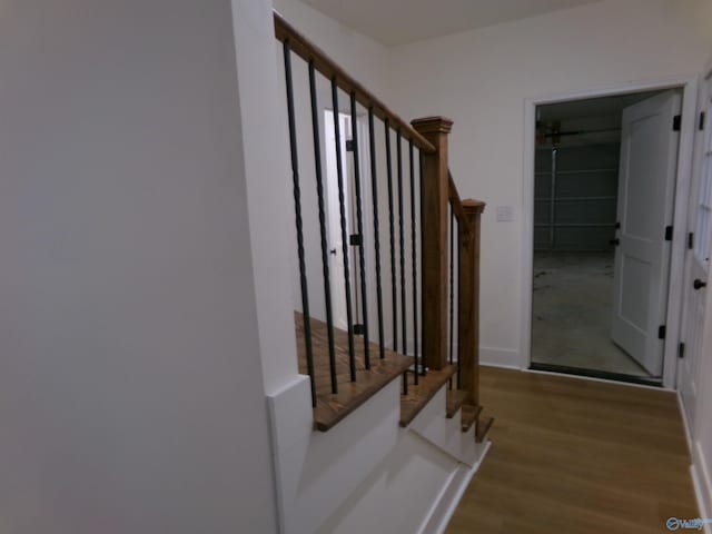 stairway with hardwood / wood-style flooring