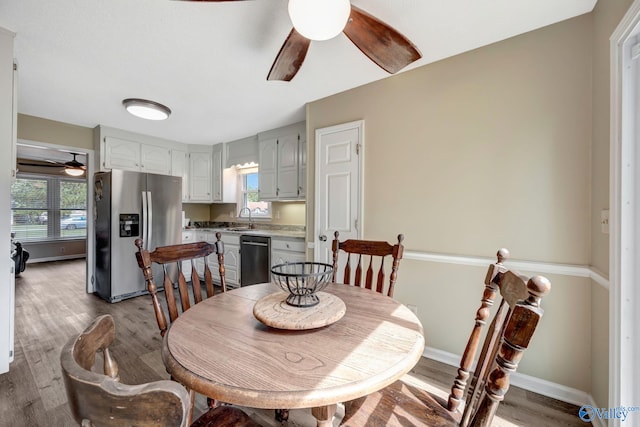 dining room with light wood-type flooring, sink, and ceiling fan