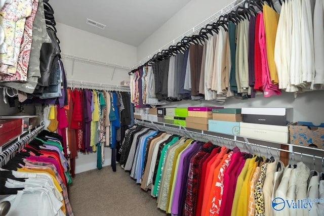 walk in closet with carpet floors