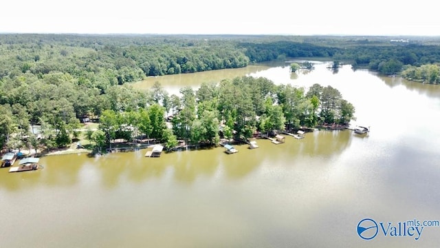 65 County Road 609, Centre AL, 35960 land for sale