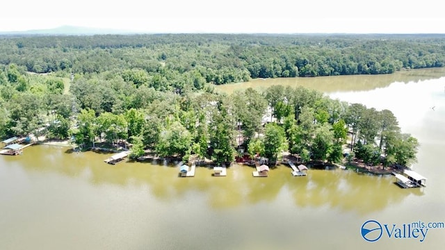 Listing photo 2 for 65 County Road 609, Centre AL 35960