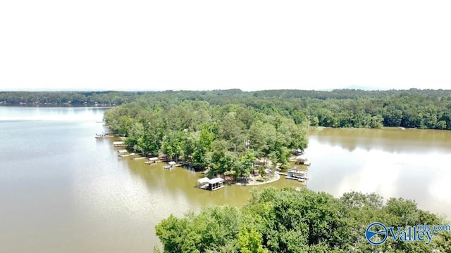 Listing photo 3 for 65 County Road 609, Centre AL 35960