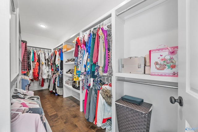 spacious closet with dark hardwood / wood-style floors