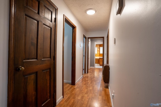 hallway with a textured ceiling and light wood-type flooring