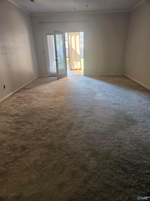 unfurnished room with crown molding and carpet floors