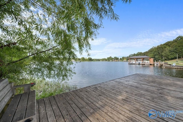 dock area with a water view