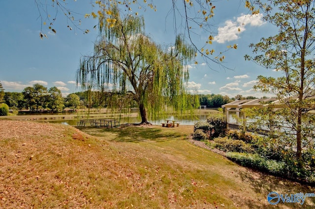 view of yard with a water view