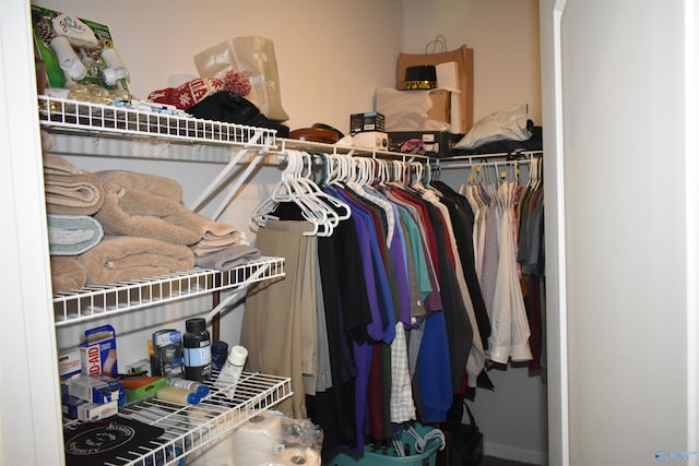 view of spacious closet