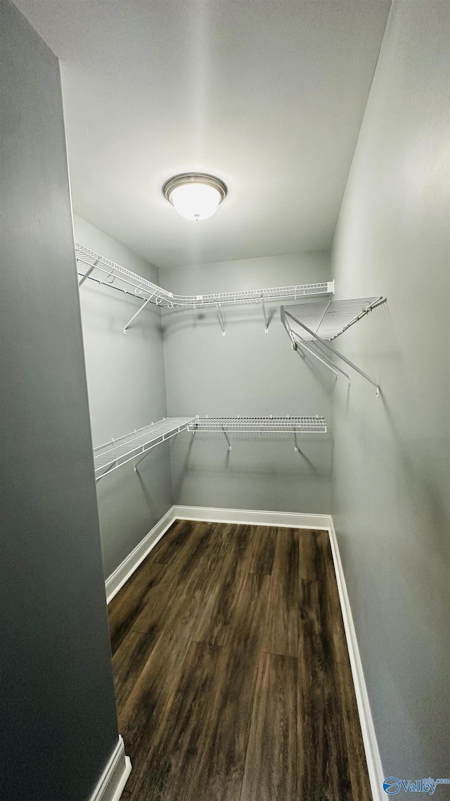 walk in closet featuring hardwood / wood-style floors