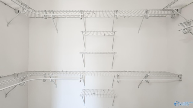 15685 Huntsville Brownsferry Rd, Athens, AL 35611 - view of spacious closet