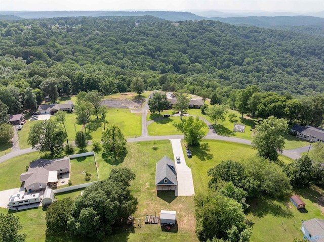 331 Ayers Cir, Grant, AL 35747 - aerial perspective of suburban area with a heavily wooded area