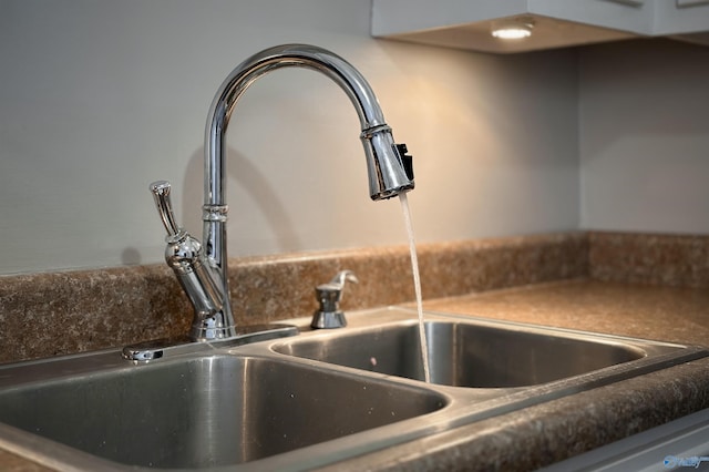 interior details with sink