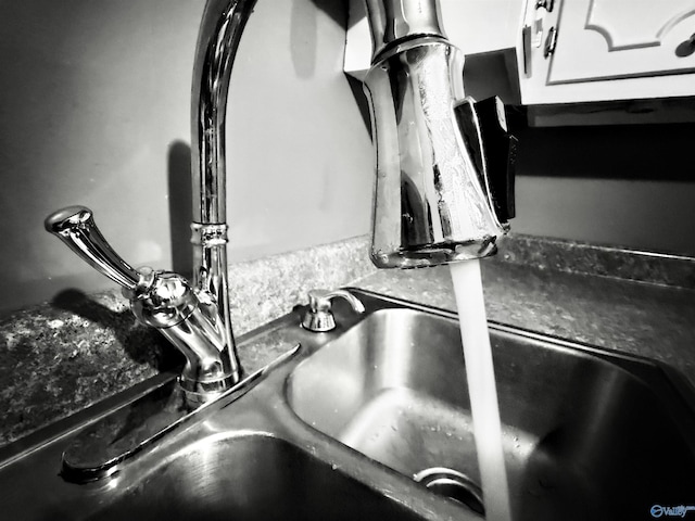 details with white cabinets and sink