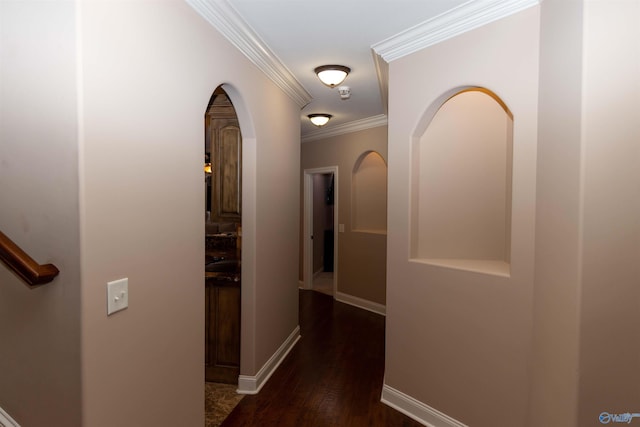 corridor with crown molding and dark hardwood / wood-style floors