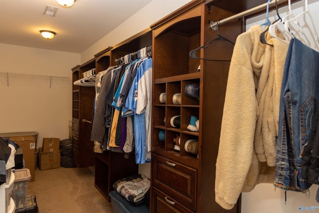 spacious closet with carpet flooring