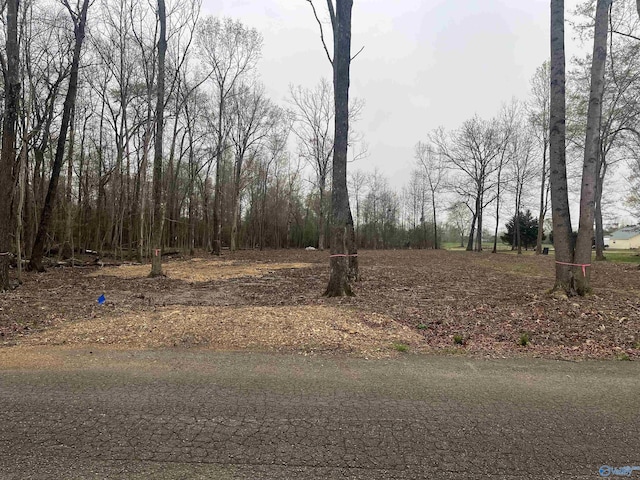 28402 Jessica Dr, Toney, AL 35773