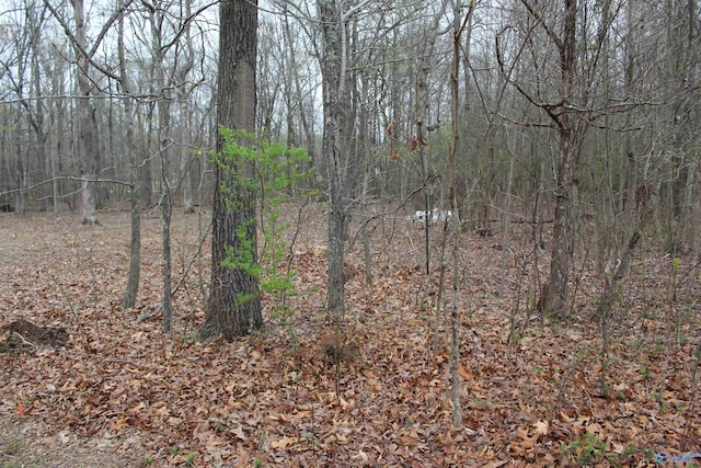 28402 Jessica Dr, Toney, AL 35773