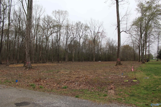 28402 Jessica Dr, Toney, AL 35773