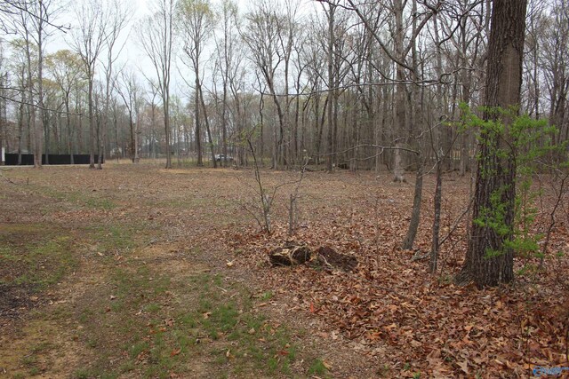 28402 Jessica Dr, Toney, AL 35773