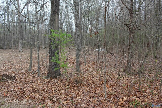 28402 Jessica Dr, Toney, AL 35773
