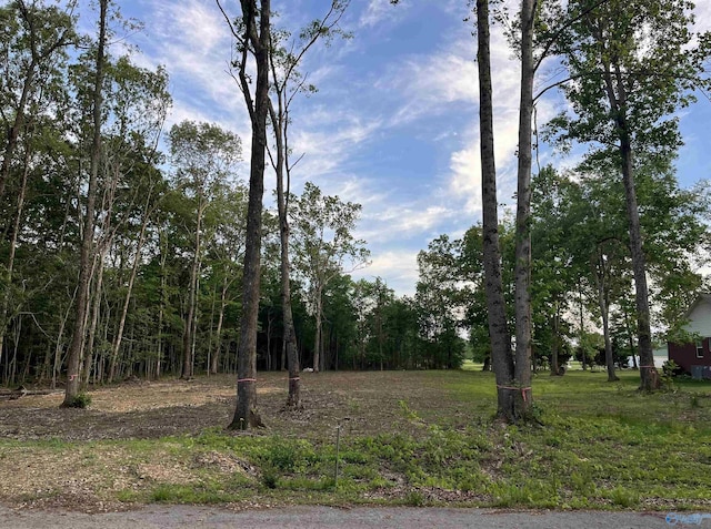 28402 Jessica Dr, Toney, AL 35773