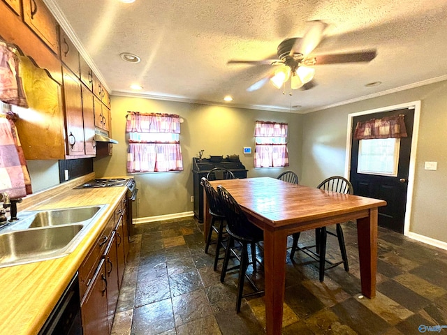 kitchen featuring dark tile patterned floors, ornamental molding, and plenty of natural light