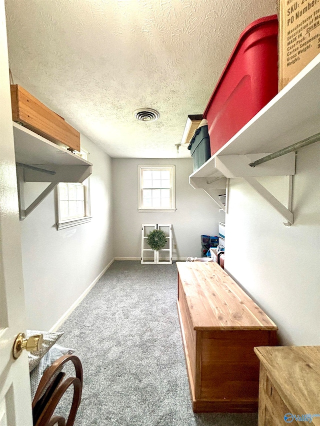 interior space featuring carpet flooring