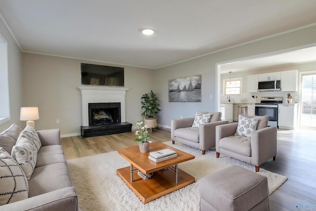 living room with sink, ornamental molding, and light hardwood / wood-style floors