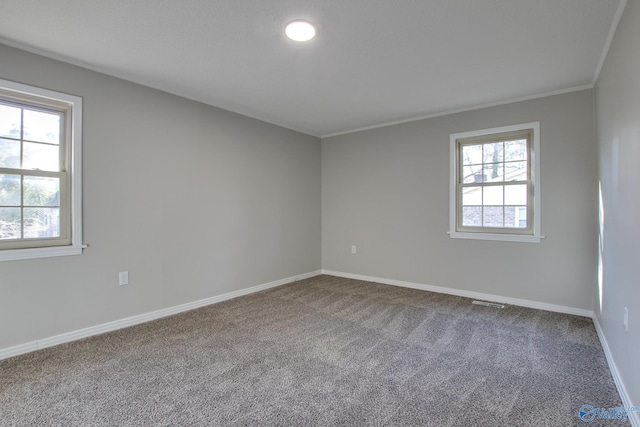 empty room with ornamental molding and carpet