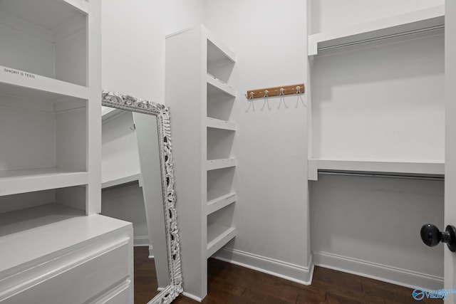 11 SE Braewick Pl, Gurley, AL 35748 - walk in closet with wood finished floors