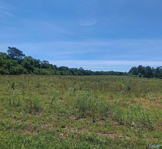 2390 Martling Gap Rd, Albertville AL, 35951 land for sale