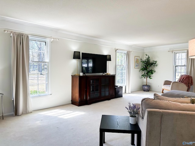 living area featuring plenty of natural light, ornamental molding, and carpet