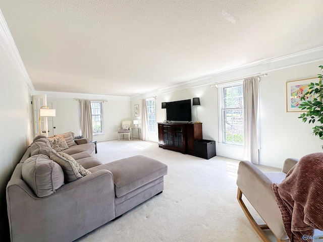living room featuring ornamental molding, a healthy amount of sunlight, light colored carpet, and a textured ceiling