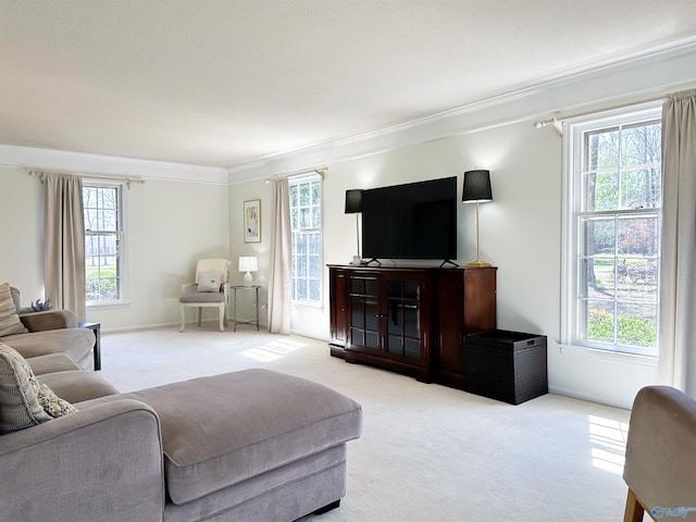 living room featuring carpet floors and ornamental molding