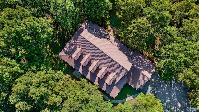 251 Wells St, Mentone, AL 35984 - drone / aerial view