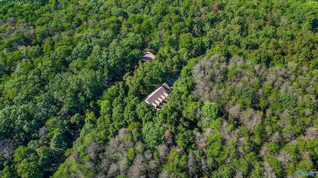 251 Wells St, Mentone, AL 35984 - aerial view with a forest view